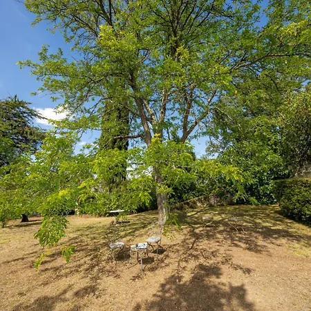 D'hotes Manoir De Montecler Chènehutte-les-Tuffeaux