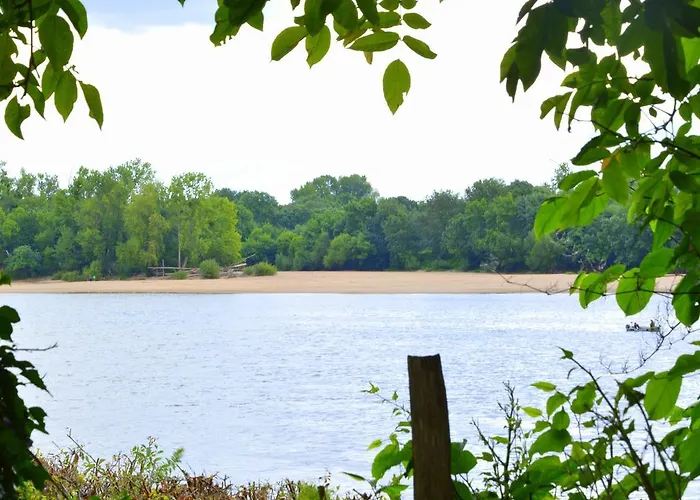 Couette-café D'hôtes Manoir De Montecler Chènehutte-les-Tuffeaux